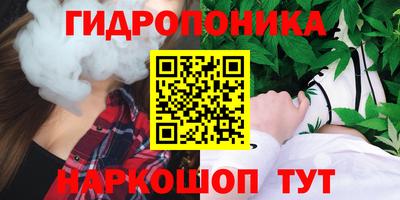 apvp Кингисепп