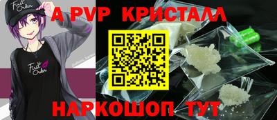 apvp Кингисепп