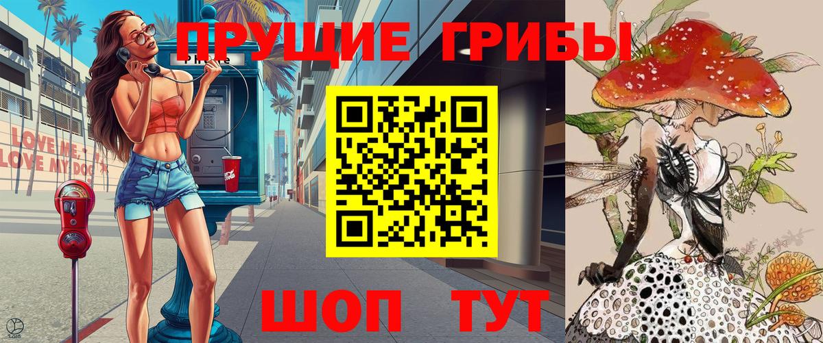 Псилоцибиновые грибы GOLDEN TEACHER Шелехов